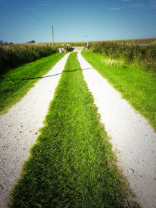 Der Weg führt nach vorn!